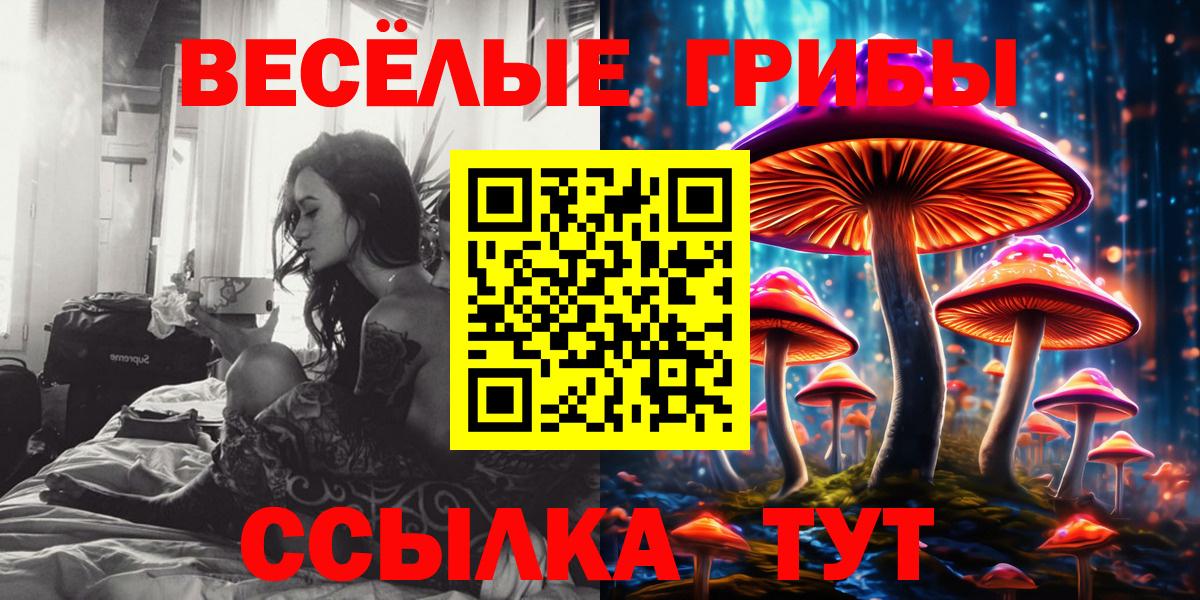 Полевской  магазин продажи   Вход с VPN  Галлюциногенные грибы мицелий 